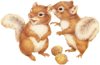 two cute squirrels 